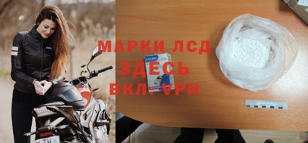 сатива Сосновый Бор