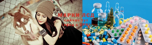 ALPHA PVP Белокуриха