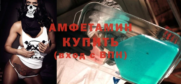 индика Беломорск
