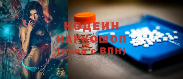 индика Беломорск