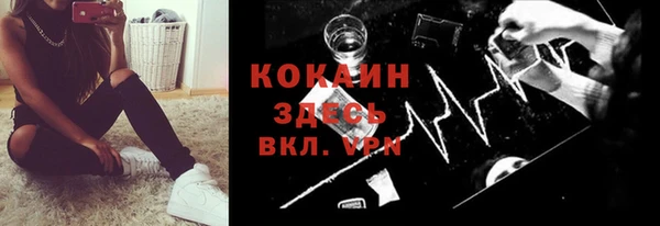индика Беломорск