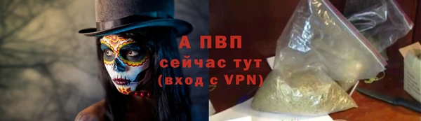 индика Беломорск