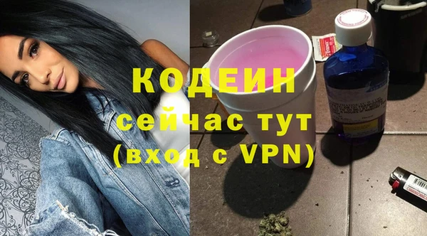 индика Беломорск