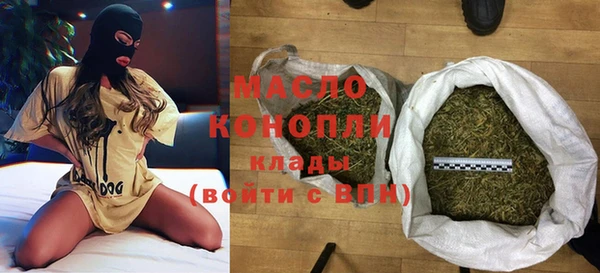 индика Беломорск