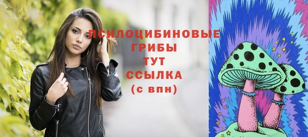 индика Беломорск