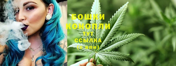 ALPHA PVP Белокуриха